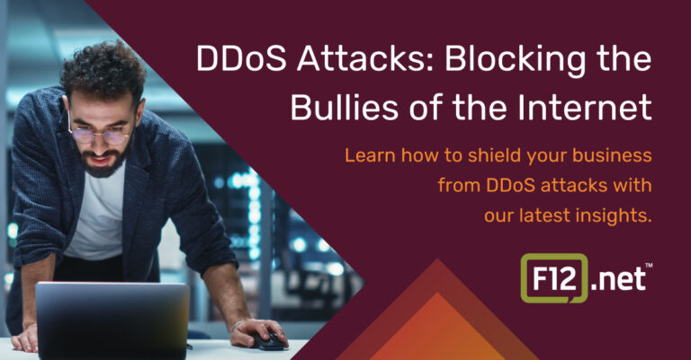 DDoS Attacks: Blocking the Bullies of the Internet